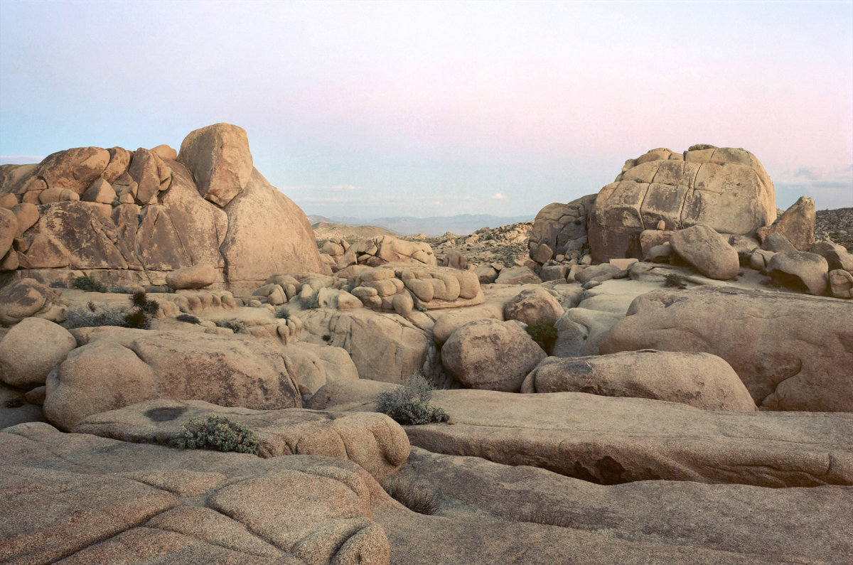 Landscapes - CRXSS