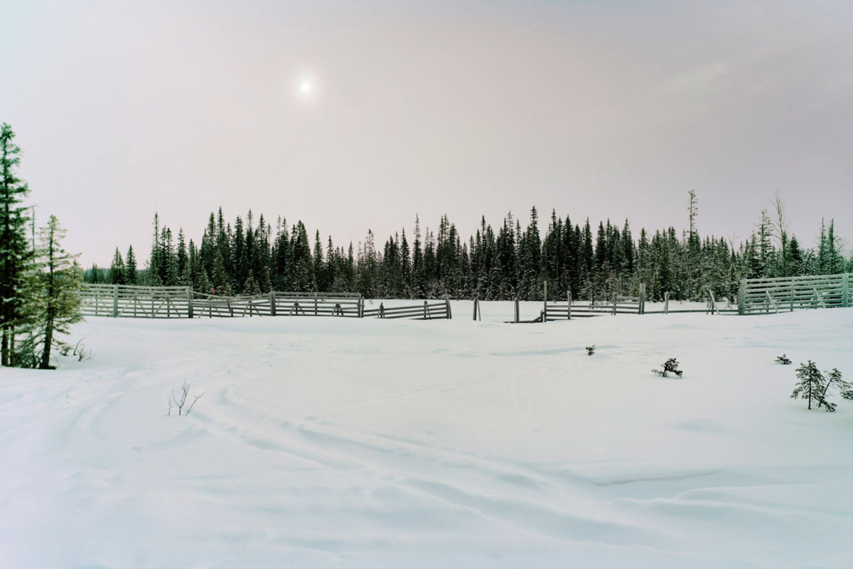 Landscapes - CRXSS