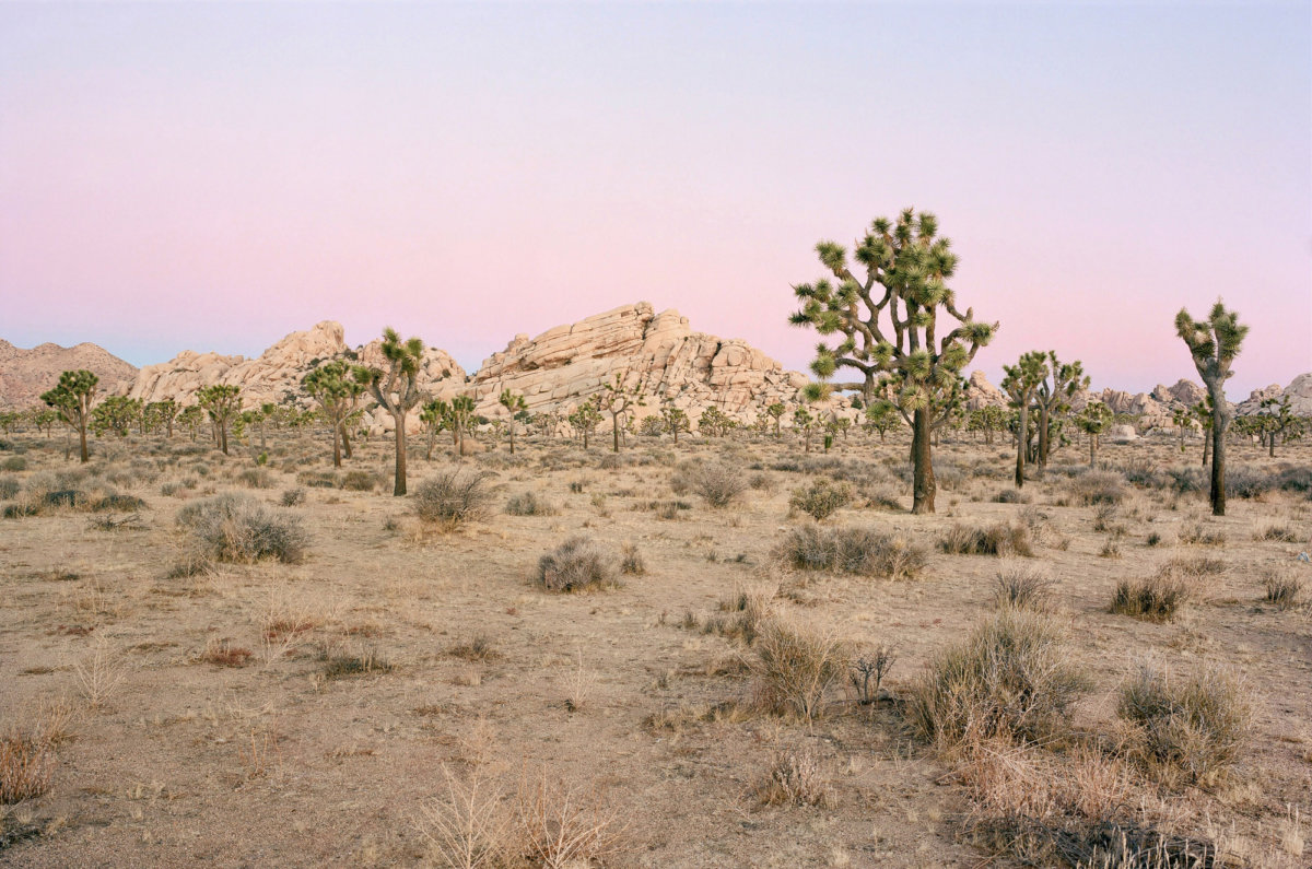 Landscapes - CRXSS