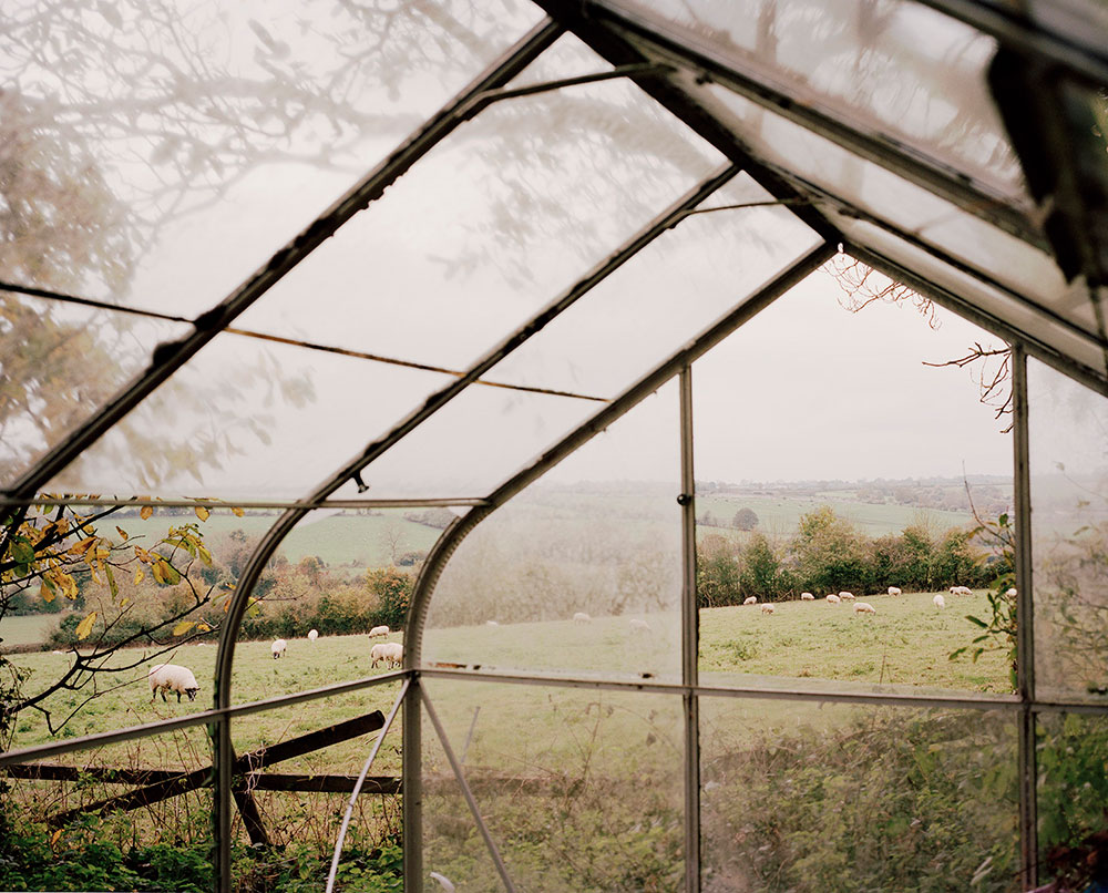 Glebe Farm by Kate Peters - CRXSS