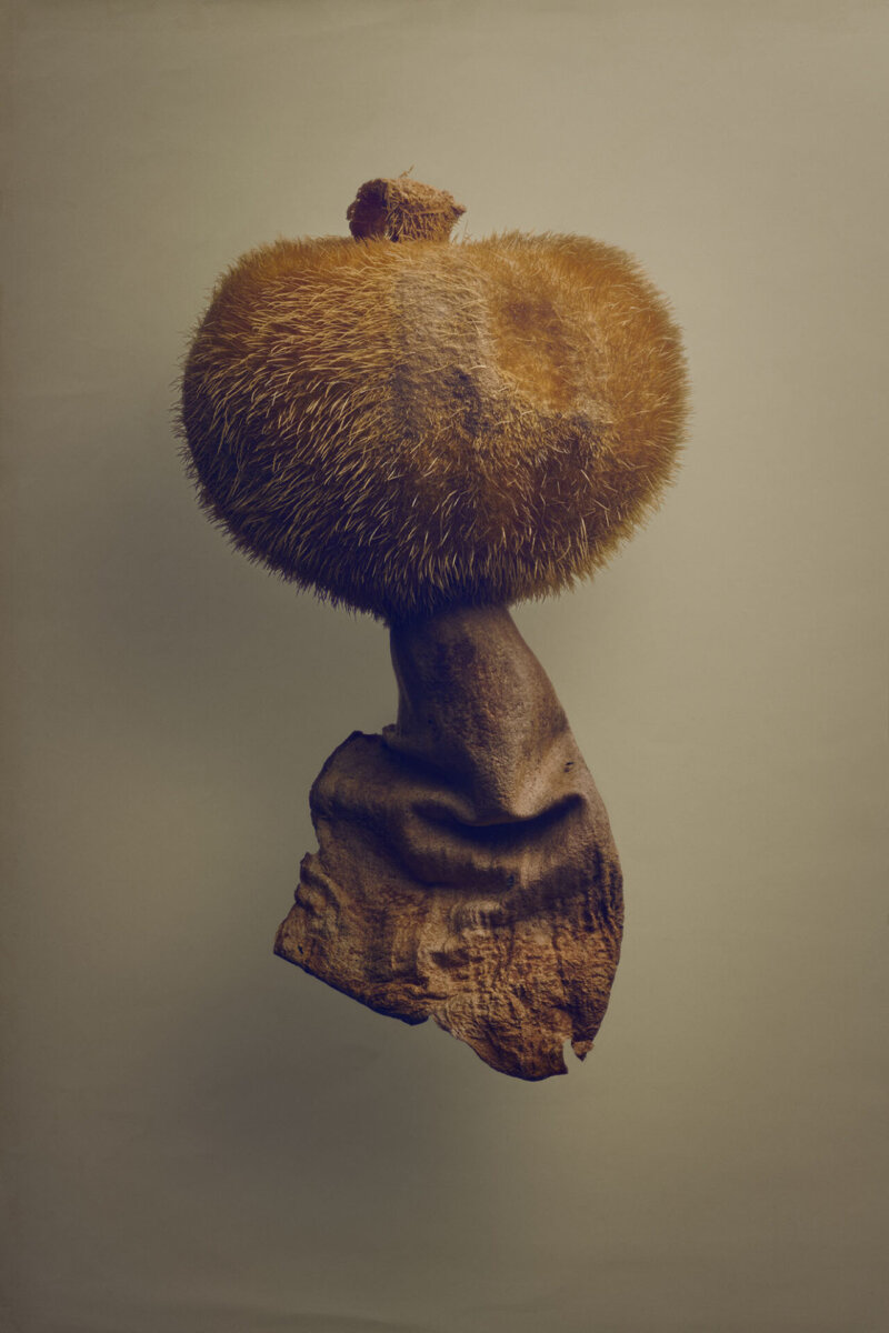 Seeds & Fruits - CRXSS