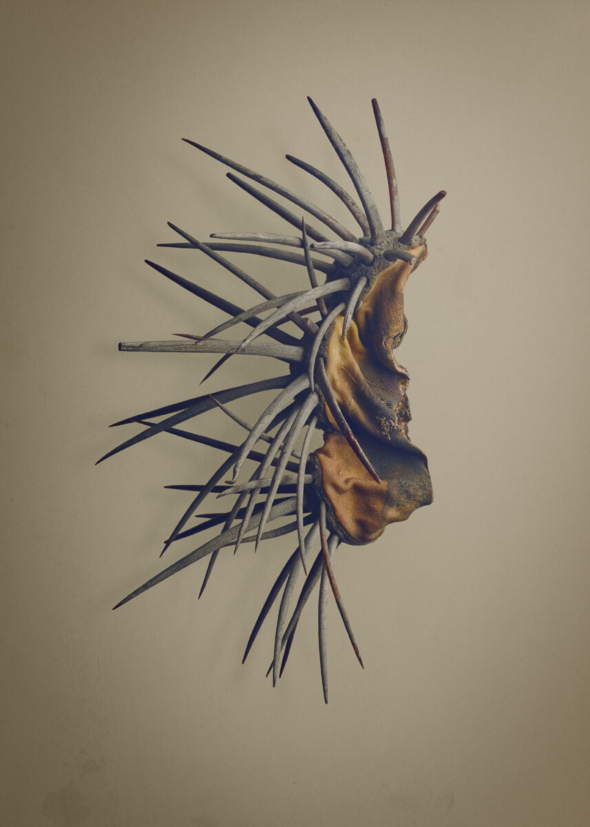 Seeds & Fruits - CRXSS