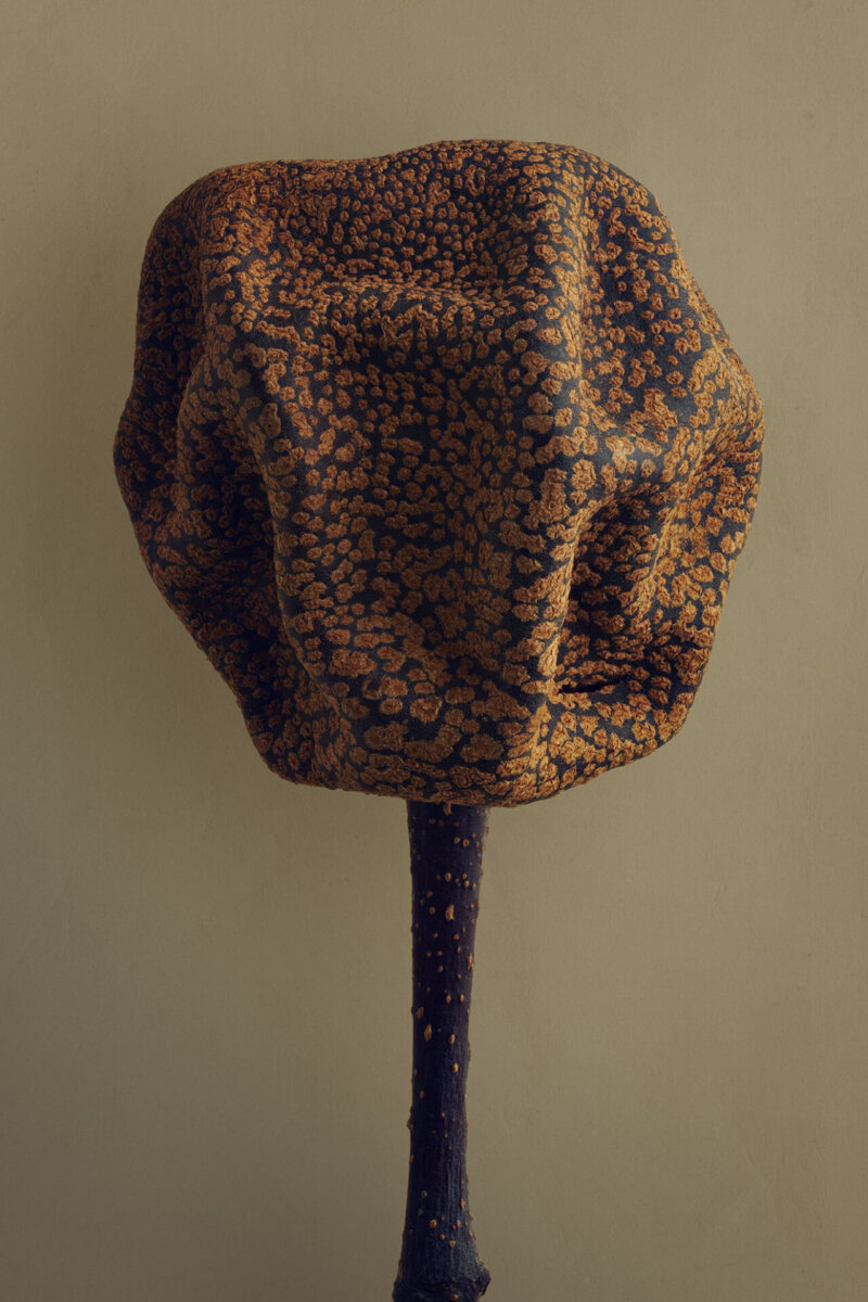 Seeds & Fruits - CRXSS