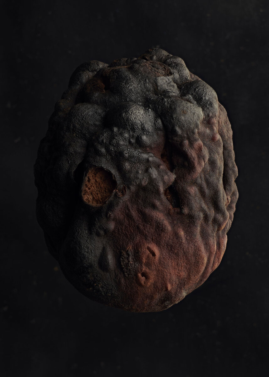 Seeds & Fruits - CRXSS