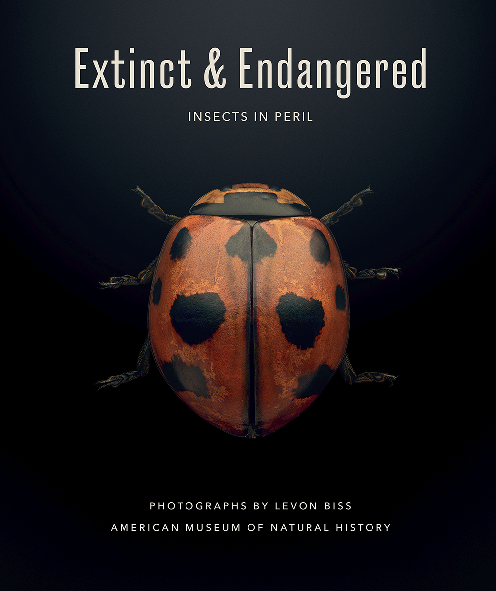 Extinct & Endangered - CRXSS