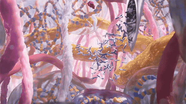 MOA Takeda - CRXSS